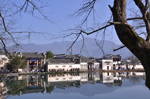 江南水乡静谧湖景风光