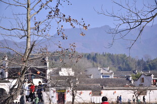 古村落冬日景象