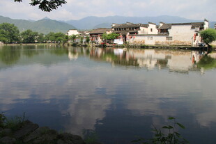 水乡宁静景致 湖面映村落