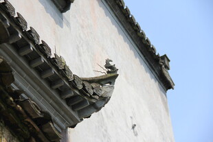 中式建筑屋檐一角