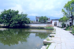 乡村池塘边的宁静小道