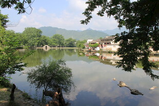 宁静河畔乡村美景