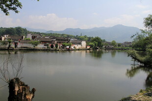 宁静乡村湖畔风光