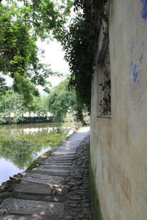 小巷边的静谧池塘风景