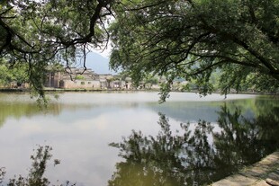 湖畔绿树环绕的宁静景致