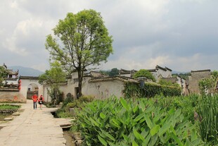 乡村小道旁的古朴民居