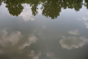 湖面树影与云的梦幻倒影