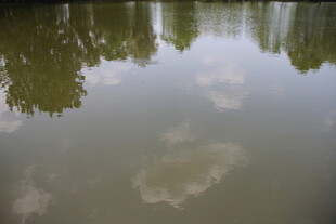 湖面倒映天空与绿树