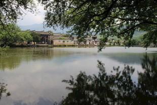 湖畔绿树环绕的宁静景致