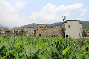 乡村田园风光中的古朴建筑