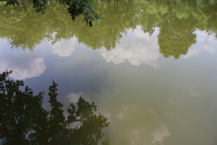 湖面树影倒映的静谧景致