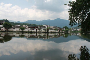 水乡宁静景致 湖光映村落