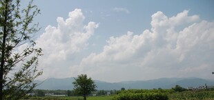 田园风光蓝天白云绿树