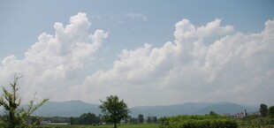 蓝天白云下的田园风光