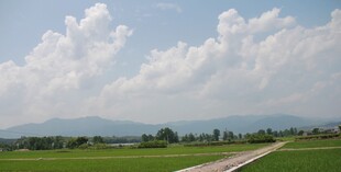 田园风光中的蜿蜒小路