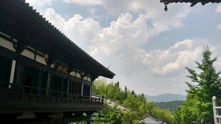 中式建筑旁的葱郁山林