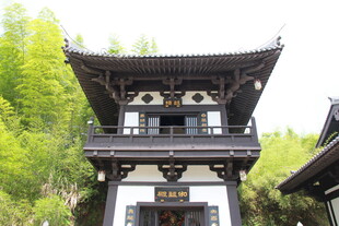 中式古建 隐于竹林间