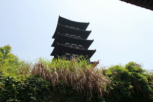 古塔立于葱郁草木间