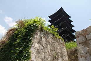 石墙上的古塔与繁茂绿植