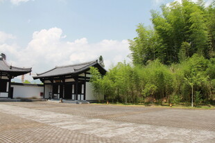 中式庭院建筑与竹林景观