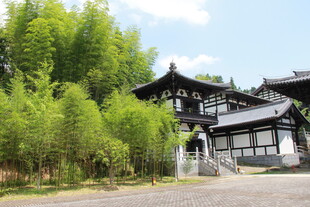 中式古建旁的葱郁竹林