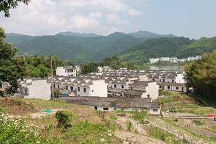 山村聚落 青山环绕的美景