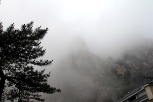 云雾缭绕中的山林景致