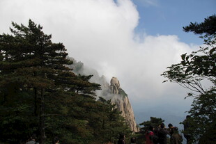 云雾缭绕的山林景观