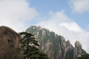 巍峨黄山奇峰与苍松