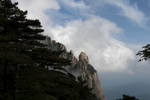 巍峨山峰与葱郁林木景观
