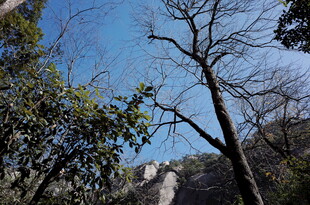 山林间的蓝天与光秃树木