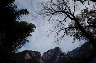 山间树影与巍峨山峦