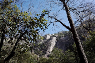 山林间的隐秘瀑布景观