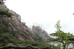 巍峨山峰与葱郁树木景观