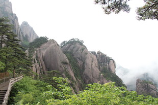 黄山奇峰间的翠绿景致