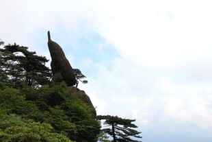 奇峰耸立伴葱郁林木