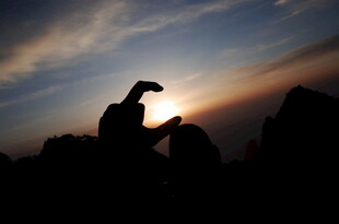 夕阳下的狗狗剪影