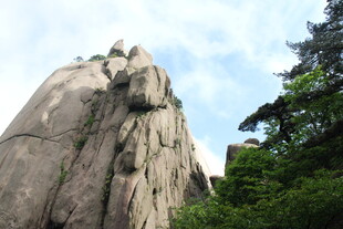 巍峨山石屹立于葱郁林间