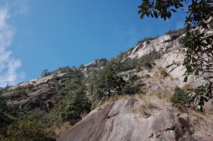 陡峭山壁与繁茂绿植