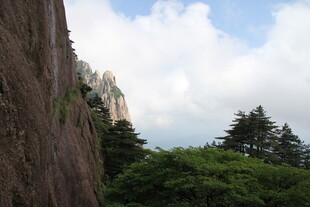 陡峭山壁旁的葱郁林木