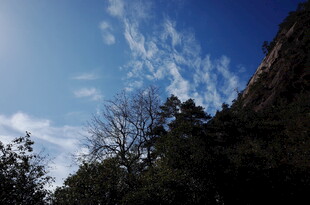 山间蓝天与稀疏树木