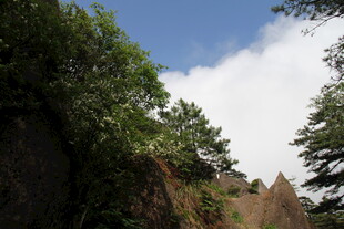 山间绿树与蓝天白云景观