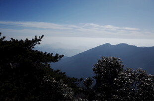 山巅远眺 云雾缭绕之景