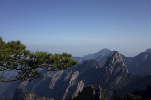 黄山美景 青松与巍峨山峦