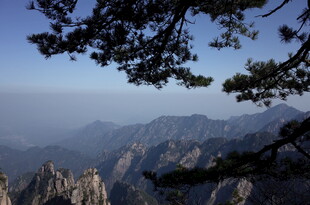 黄山美景 松与山峦的画卷