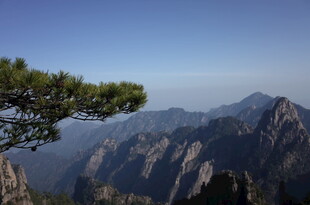 黄山奇峰与孤松景观