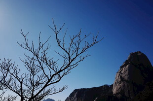 蓝天枯树旁的巍峨山石