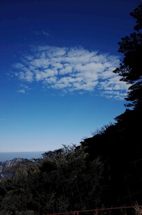 蓝天绿树间的美丽景致