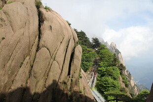 陡峭山壁上的绿色景致
