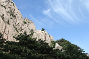 巍峨山石与葱郁林木景观